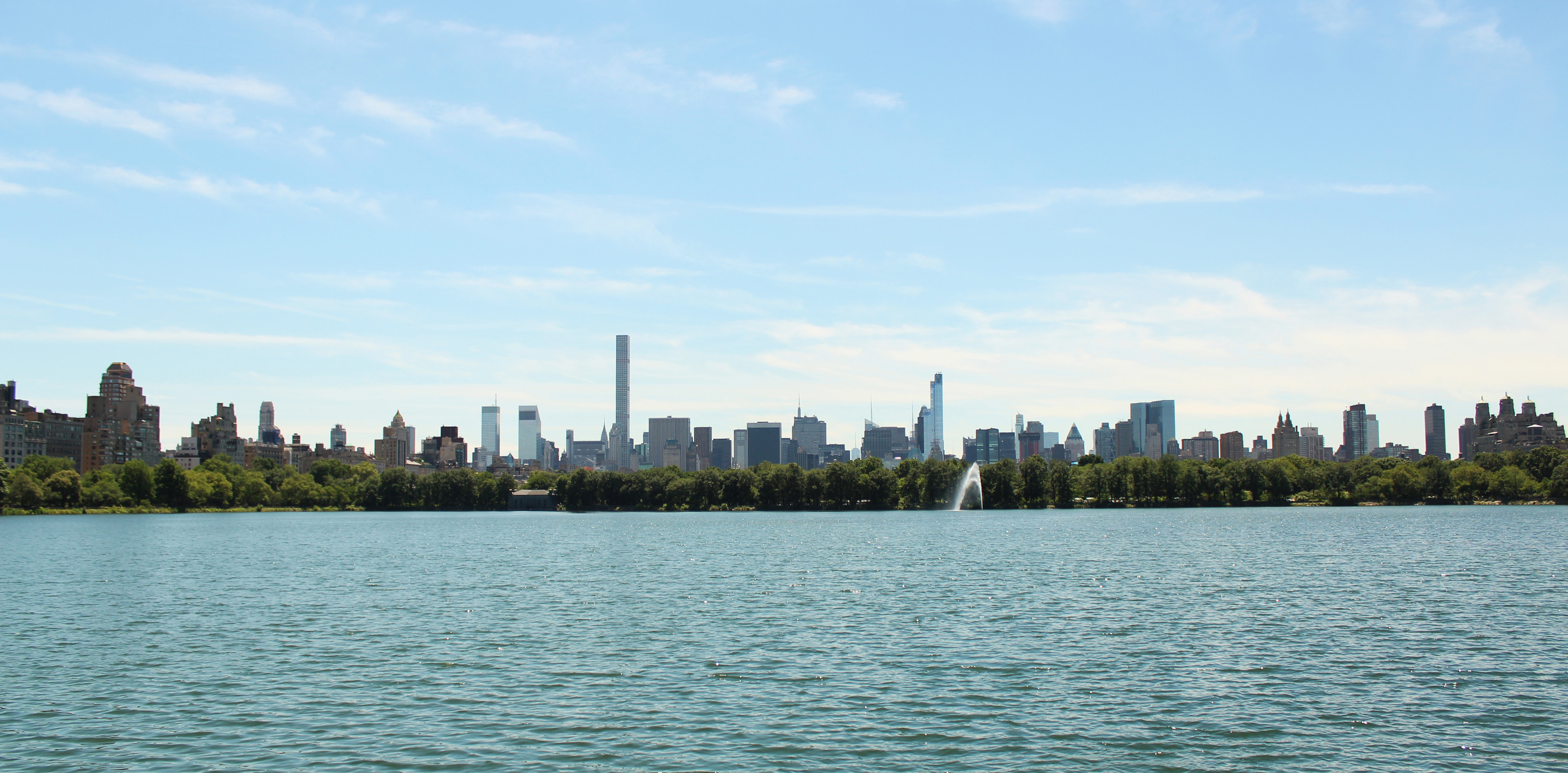 Central Park and New York Skyline