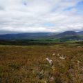 An amazing hike in sunny highland plains in Kingussie, Scotland