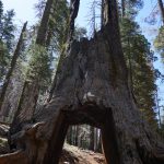Yosemite, Califonien