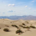 Sand Dunes, Death Valley
