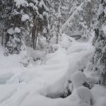 22 Vinter i Whistler - Snowboard Season