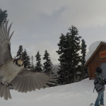 41 Vinter i Whistler - Snowboard Season
