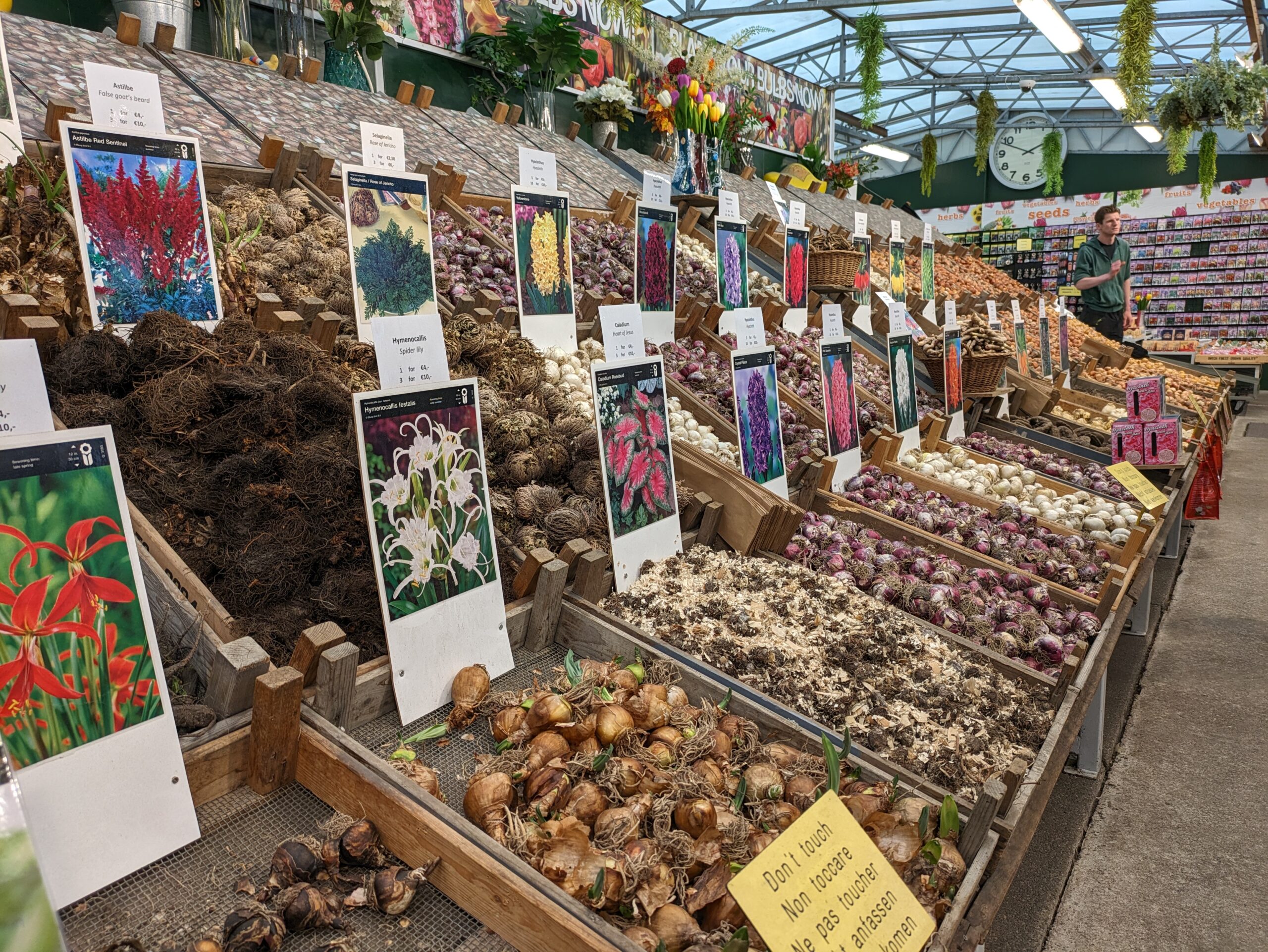 Det Flydende Blomstermarked, Amsterdam, Holland